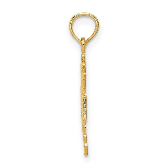 14k Yellow Gold Polished R.N. Pendant